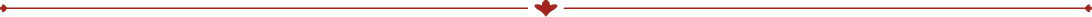 divisor-vermelho-mobile